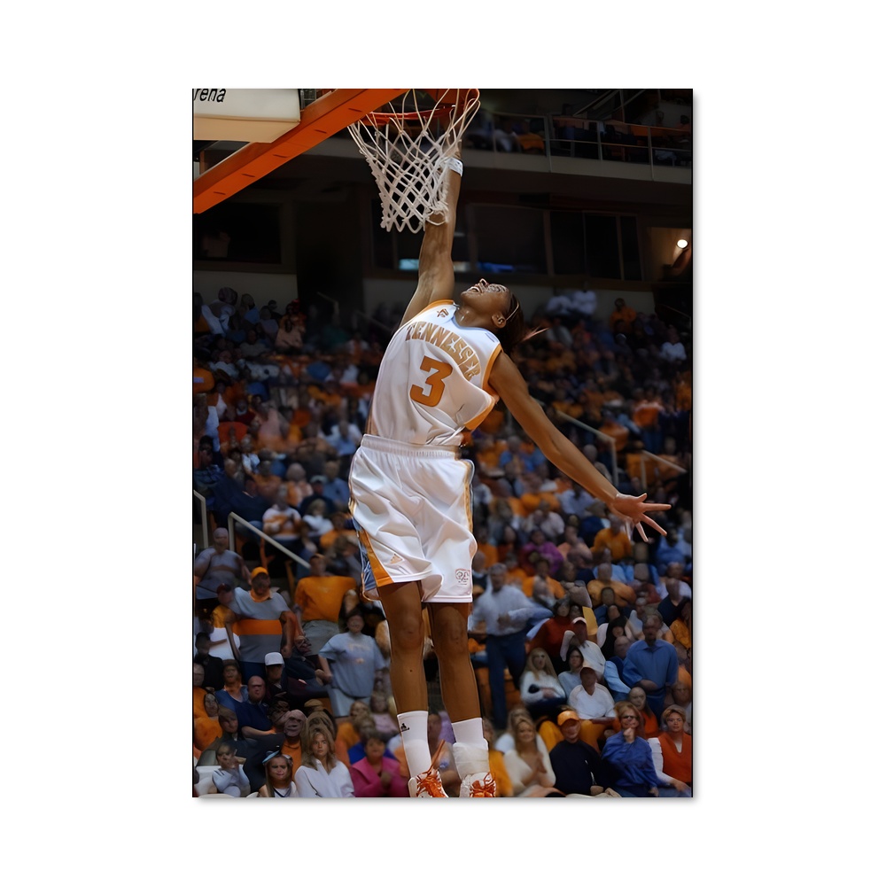 Poster Candace parker élan